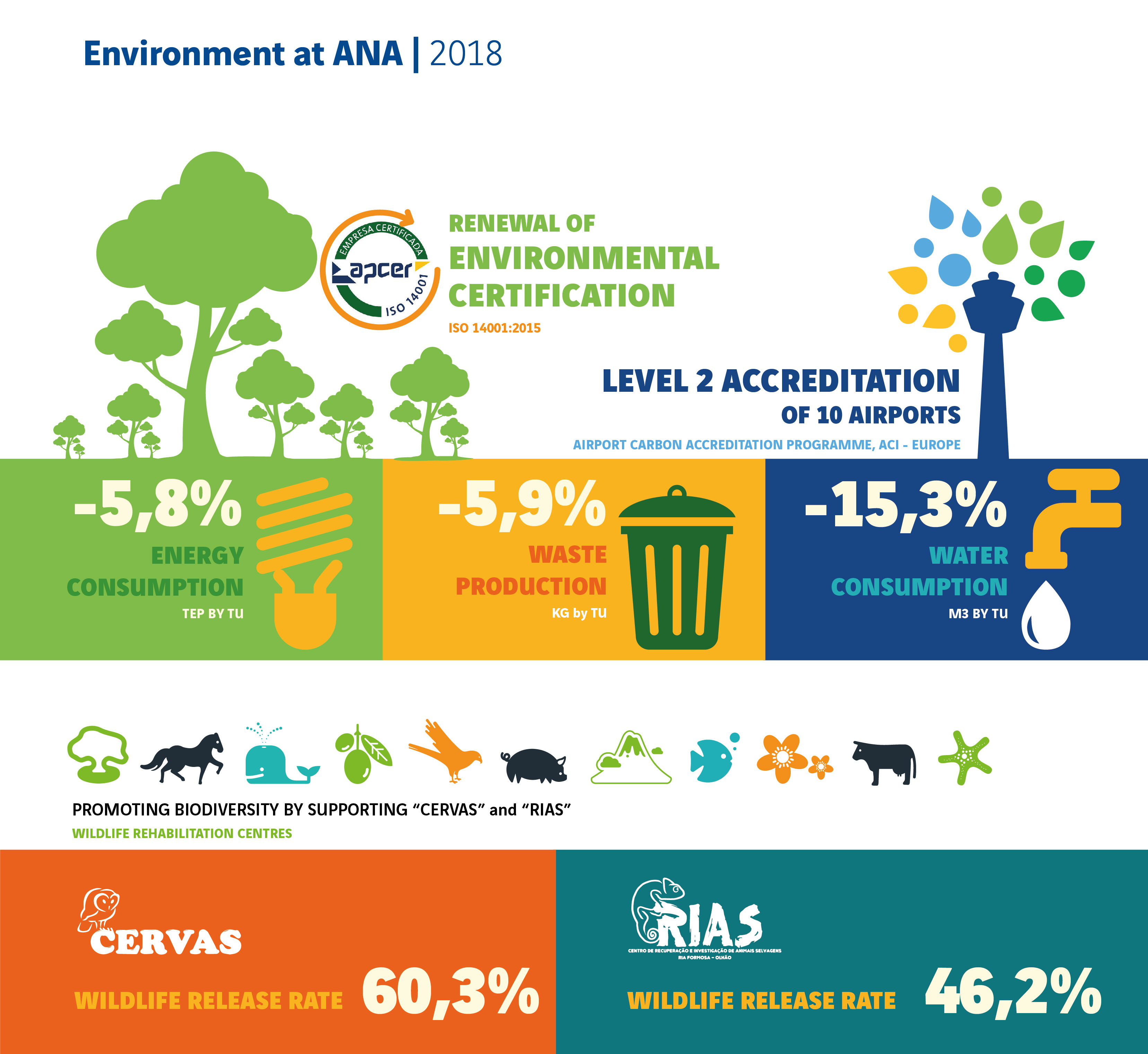 Environmental Performance | Corporate 